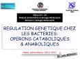 REGULATION GENETIQUE CHEZ LES BACTERIES: OPERONS CATABOLIQUES PowerPoint PPT Presentation