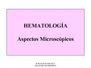 HEMATOLOG