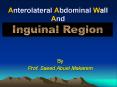 Anterolateral Abdominal Wall And PowerPoint PPT Presentation