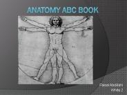 Anatomy ABC Book