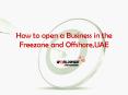 Get Acquainted with RAK Offshore and   Free Zone Setup in the Dubai PowerPoint PPT Presentation