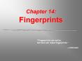 Chapter 14: Fingerprints PowerPoint PPT Presentation