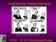 Evolution by Natural Selection PowerPoint PPT Presentation