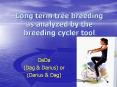 Long term tree breeding as analyzed by the breeding cycler tool PowerPoint PPT Presentation