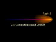 Cell Communication and Division