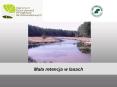 Mala retencja w lasach PowerPoint PPT Presentation