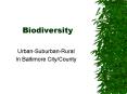 Biodiversity PowerPoint PPT Presentation