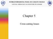 Cross-cutting Issues