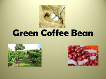 Green Coffee Bean Overview