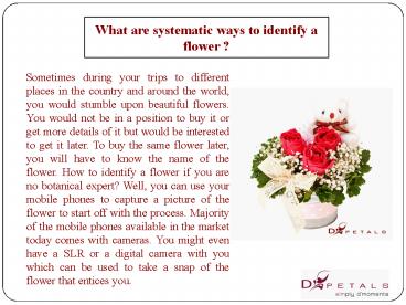What are systematic ways to identify a flower?