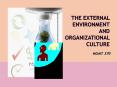 The External Environment and Organizational Culture PowerPoint PPT Presentation