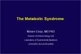 The Metabolic Syndrome PowerPoint PPT Presentation