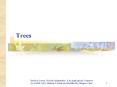 Trees PowerPoint PPT Presentation