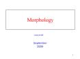 Morphology PowerPoint PPT Presentation