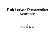 Fish Larvae Presentation Nomeidae
