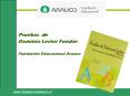 www.fundacionarauco.cl PowerPoint PPT Presentation