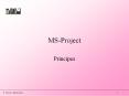 MS-Project PowerPoint PPT Presentation