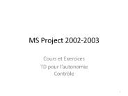 MS Project 2002-2003
