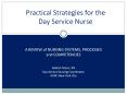 A REVIEW of NURSING SYSTEMS, PROCESSES PowerPoint PPT Presentation