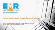 Professional European Market Entry Services