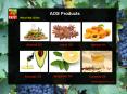 Galangal Oil PowerPoint PPT Presentation