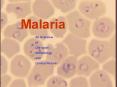 Malaria PowerPoint PPT Presentation