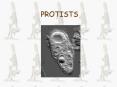 PROTISTS PowerPoint PPT Presentation