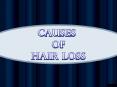 Causes of Hair Loss PowerPoint PPT Presentation