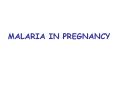 MALARIA IN PREGNANCY PowerPoint PPT Presentation