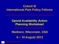 Cohort III International Pain Policy Fellows PowerPoint PPT Presentation