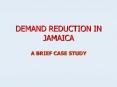 DEMAND REDUCTION IN JAMAICA PowerPoint PPT Presentation
