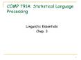 COMP 791A: Statistical Language Processing PowerPoint PPT Presentation