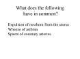 What does the following have in common? PowerPoint PPT Presentation