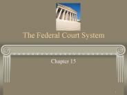 The Federal Court System