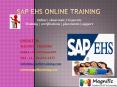 SAP EHS ONLINE TRAINING IN AUSTRALIA PowerPoint PPT Presentation