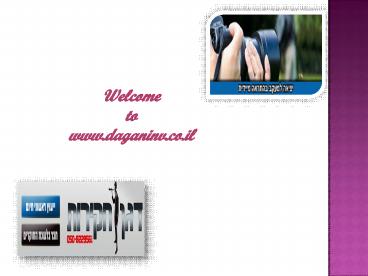 Private Investigators at daganinv.co.il