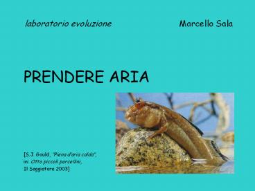 Presentazione di PowerPoint