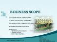 BUSINESS SCOPE PowerPoint PPT Presentation