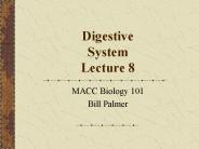 Digestive System Lecture 8