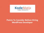 Points To Consider Before Hiring WordPress Developer