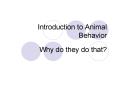 Introduction to Animal Behavior PowerPoint PPT Presentation