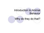 Introduction to Animal Behavior