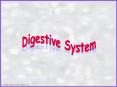 Digestive System PowerPoint PPT Presentation
