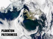PLANKTON PATCHINESS