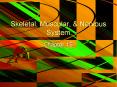 Skeletal, Muscular, PowerPoint PPT Presentation