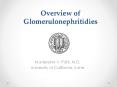 Overview of Glomerulonephritidies PowerPoint PPT Presentation