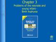 Chapter 3 Problems of the neonate and young infant - Birth Asphyxia PowerPoint PPT Presentation