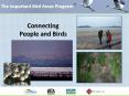The Important Bird Areas Program PowerPoint PPT Presentation