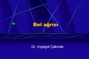 Bel agrisi