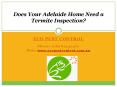 Does Your Adelaide Home Need a Termite Inspection? PowerPoint PPT Presentation